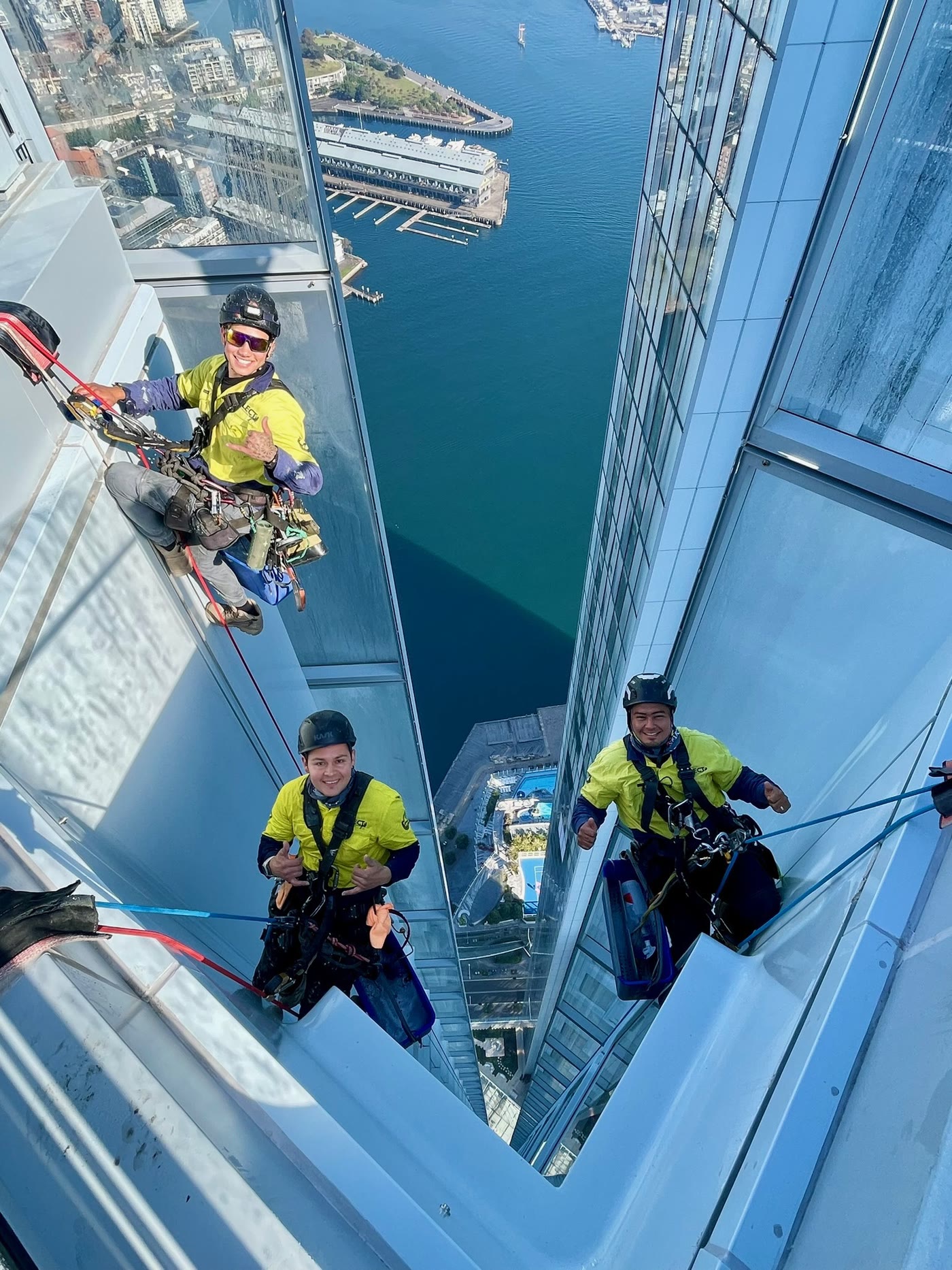 Technicians abseiling a glass façade above the harbour